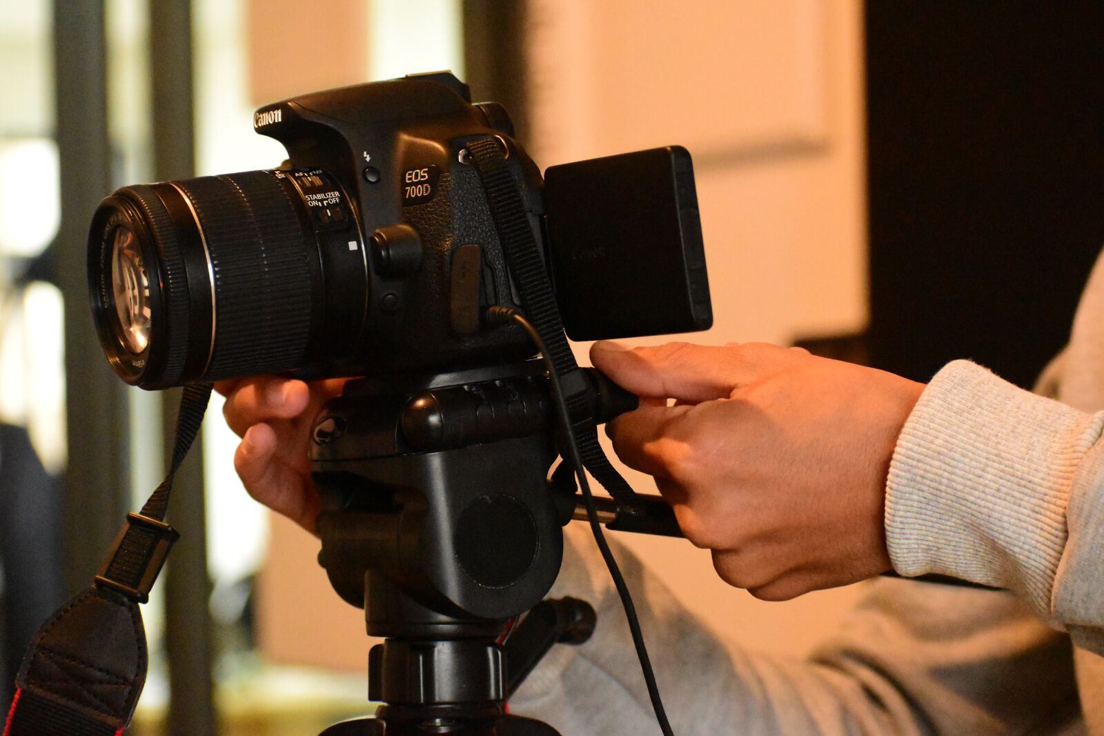 Nikon D3500 sample photo. Picture, camera, photography photography