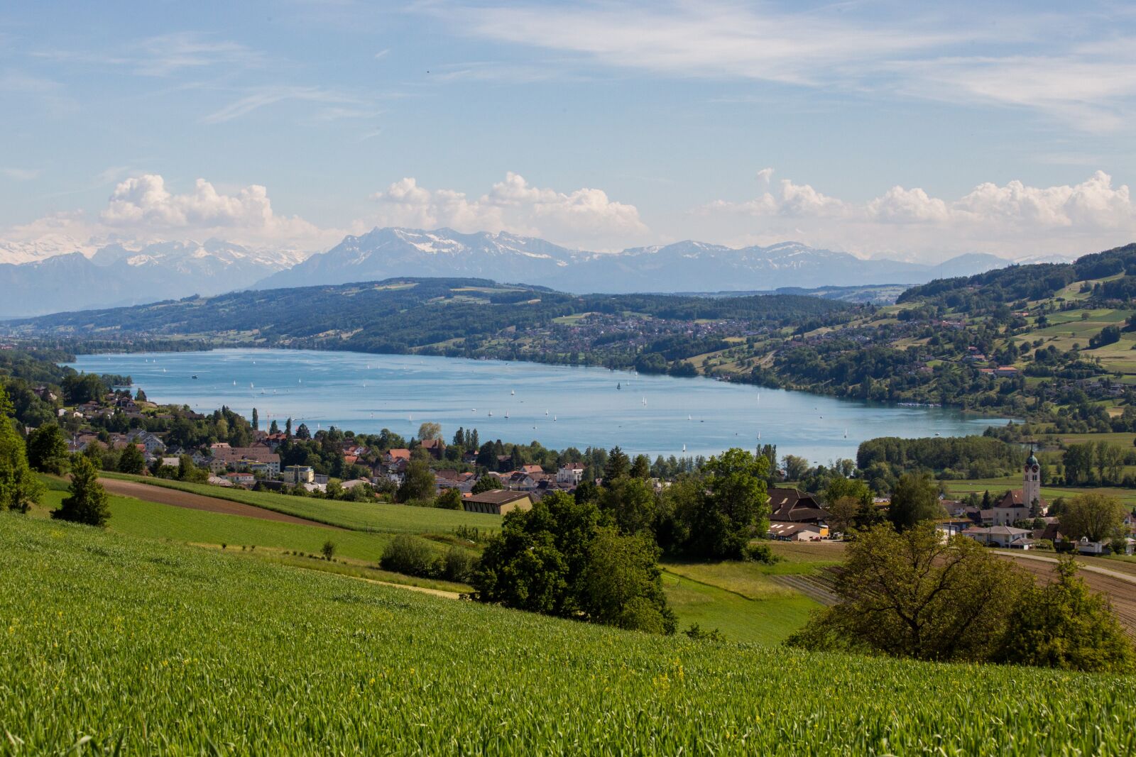 Canon EOS 6D + Canon EF 70-300mm F4-5.6 IS USM sample photo. Lake hallwil, seengen, aargau photography