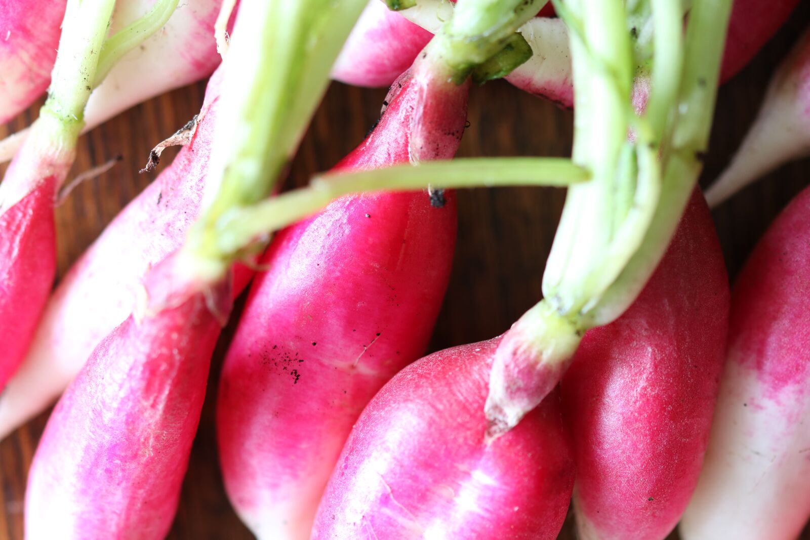 Canon EOS 750D (EOS Rebel T6i / EOS Kiss X8i) sample photo. Radishes, radish, red photography