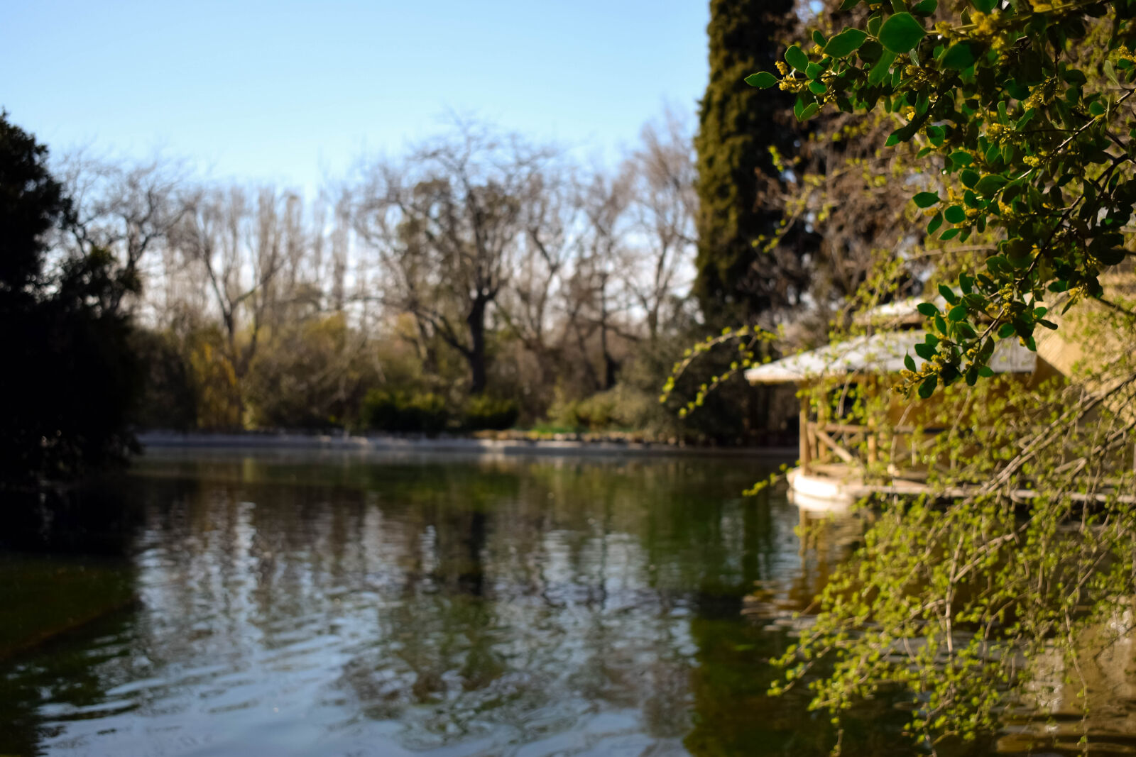 Nikon D3300 sample photo
