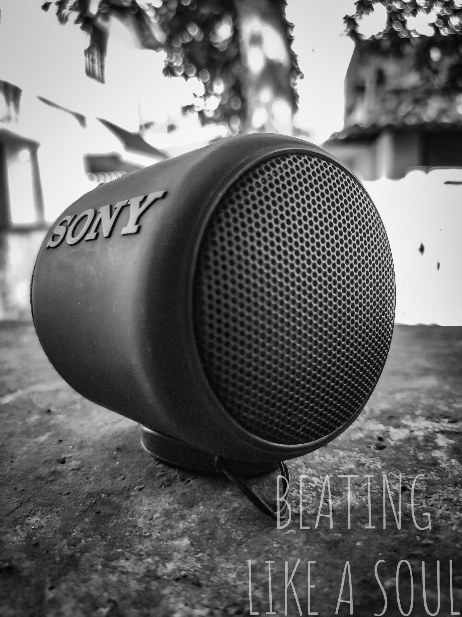 Xiaomi Redmi K20 sample photo. Speaker, sony, beating photography