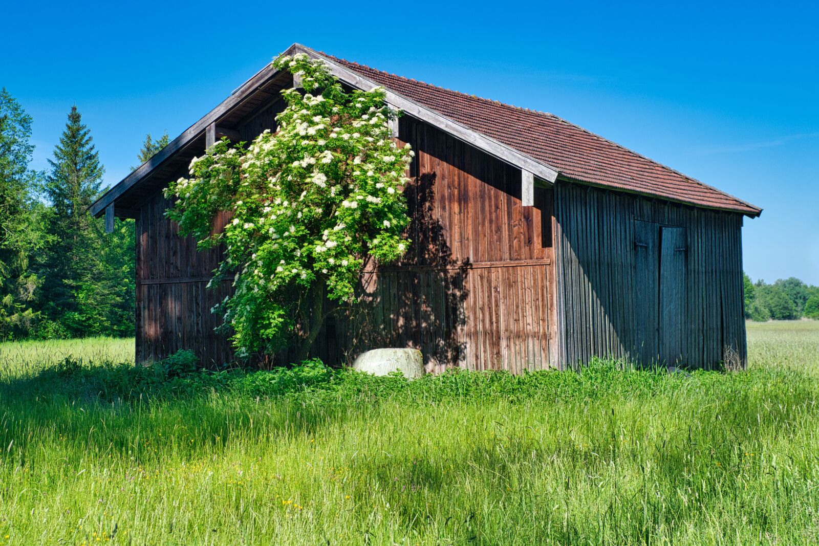 Nikon D7500 sample photo. Field barn, barn, scale photography