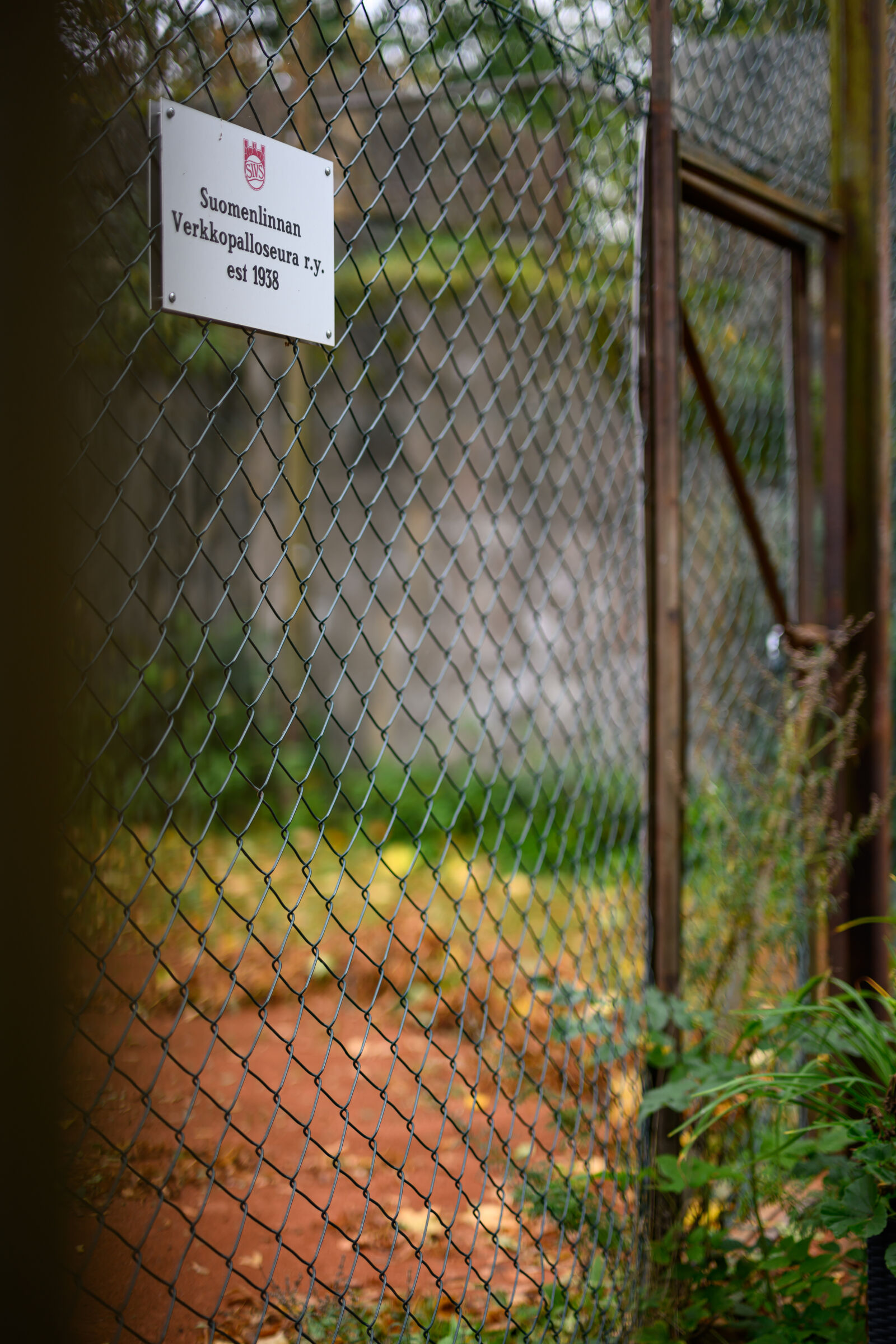 Nikon Z8 sample photo. Old volleyball court photography