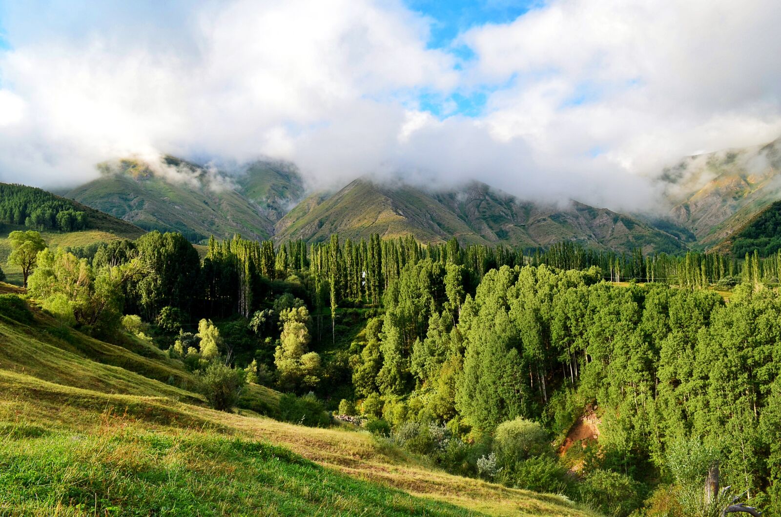 Nikon D5100 sample photo. Nature, landscape, kaçkars photography