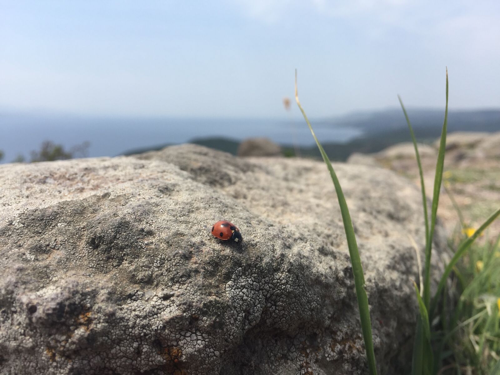 iPhone 6 Plus back camera 4.15mm f/2.2 sample photo. Assos, ancient city, nature photography