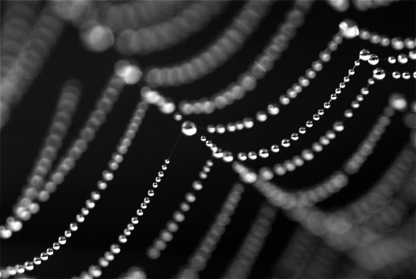 Nikon D200 sample photo. Cobweb, jewels, web photography
