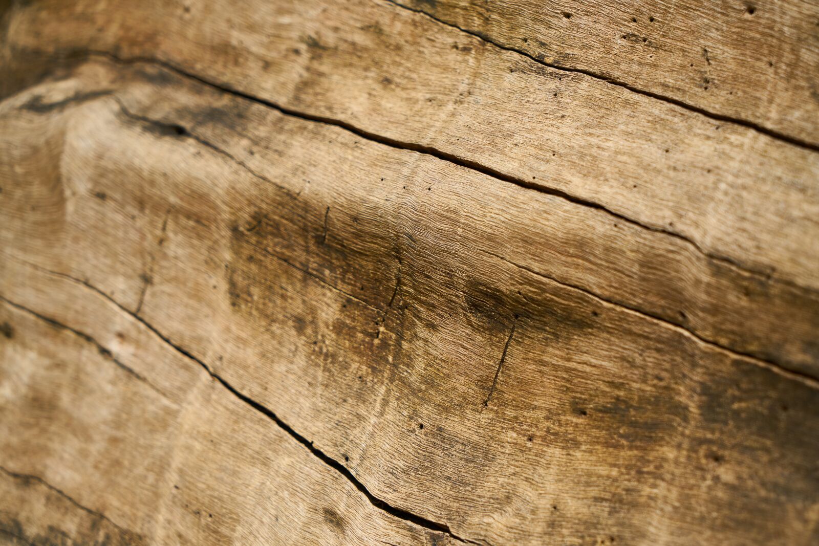 Sony a7R II sample photo. Wood-fibre boards, texture, wood photography