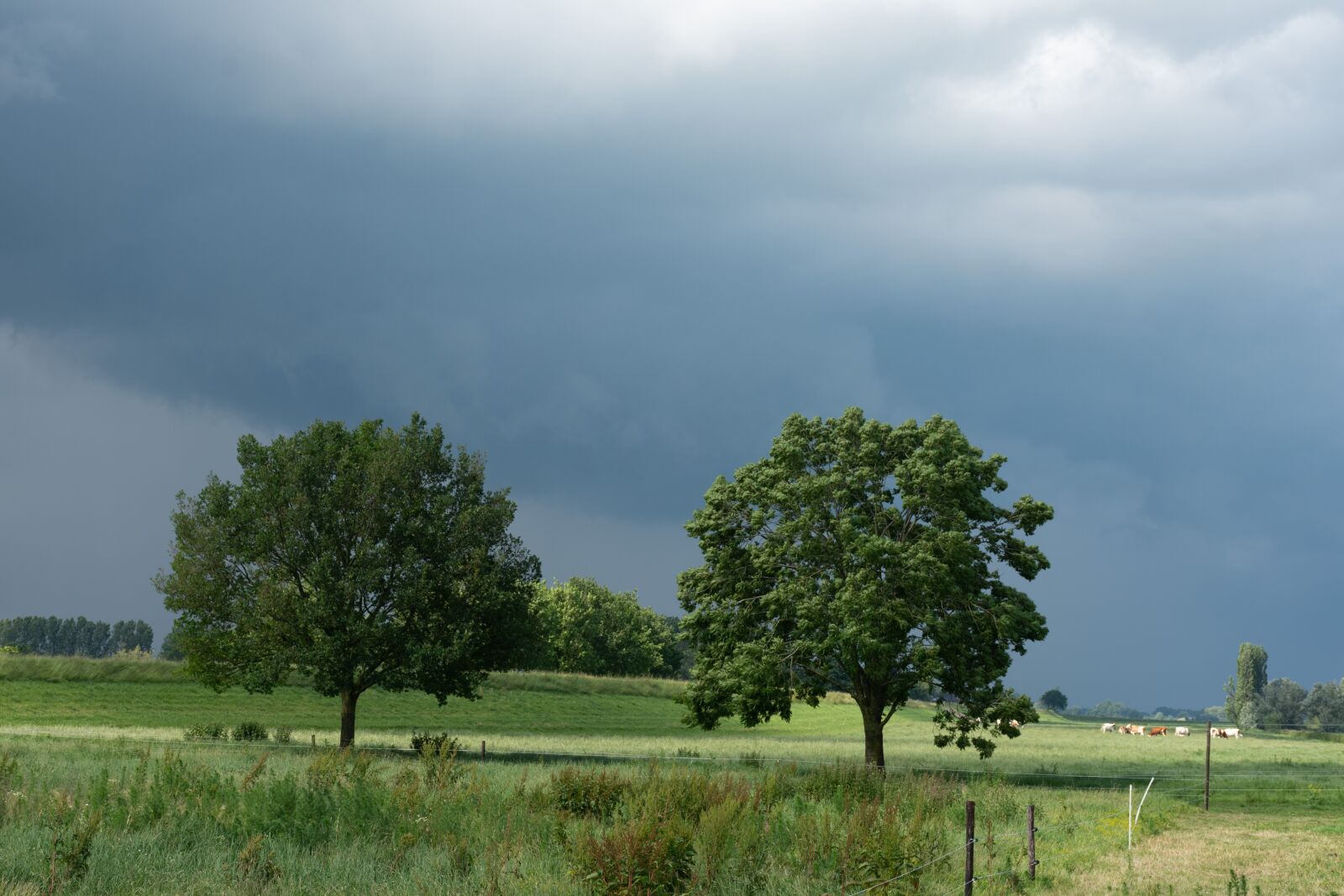 Nikon D7200 sample photo. Nature, landscape, air photography