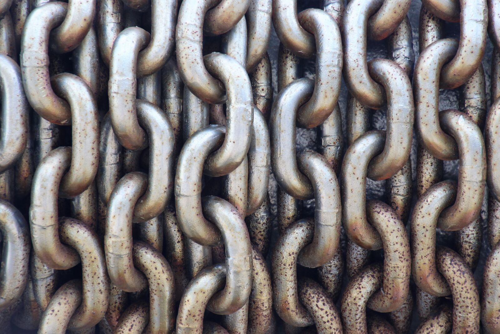 Canon EOS 7D Mark II sample photo. Background, chain, engine, iron photography