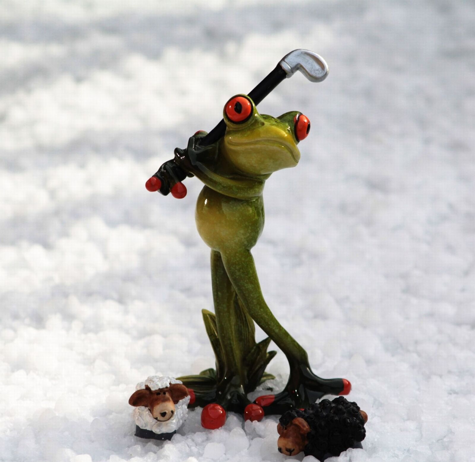 Canon EF 75-300mm f/4-5.6 sample photo. Frog, golf, golf clubs photography