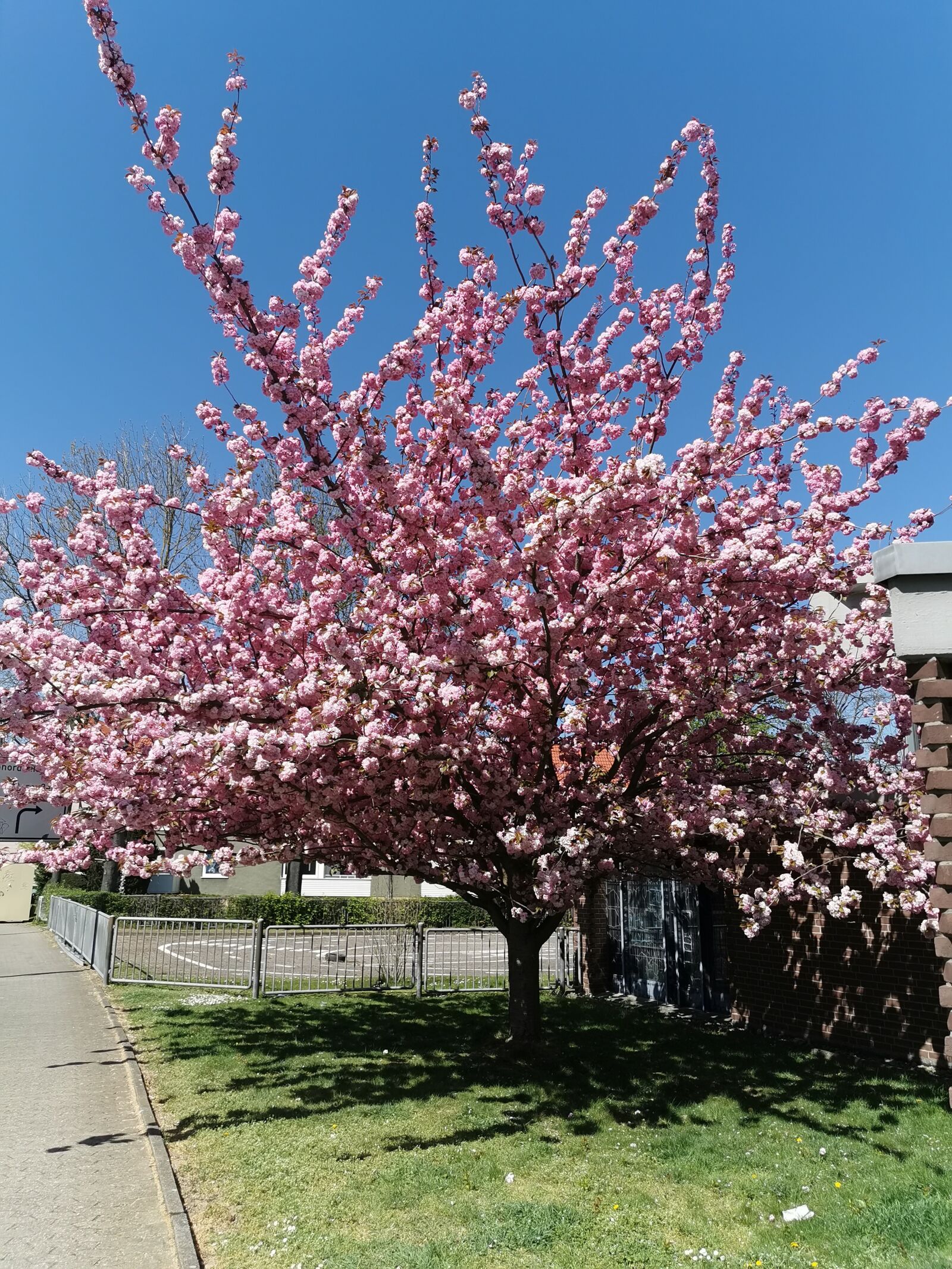 HUAWEI P30 Pro sample photo. Das, wittwer, in salzgitter 3 photography