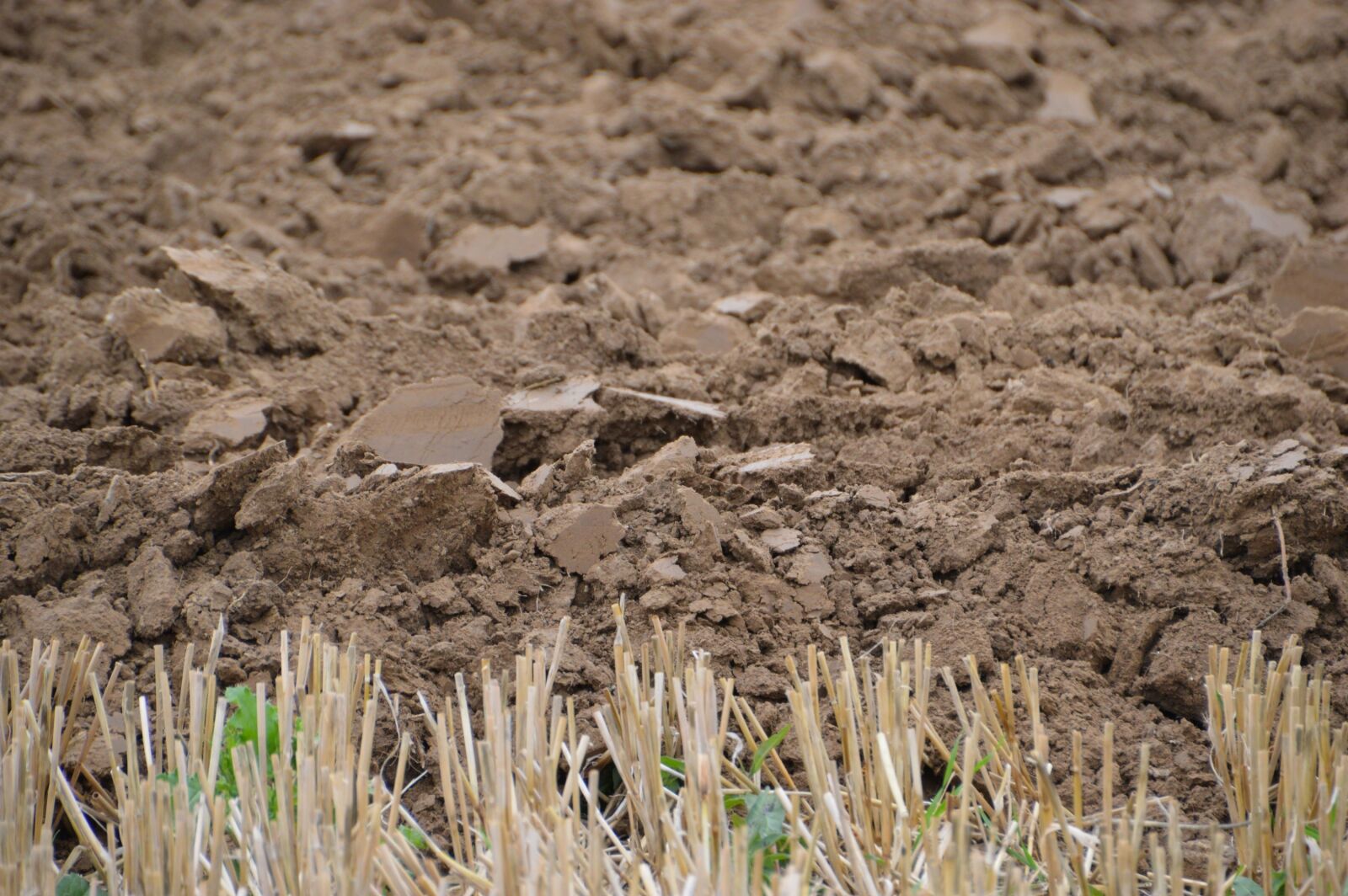 Nikon D3200 sample photo. Earth, labour, culture photography