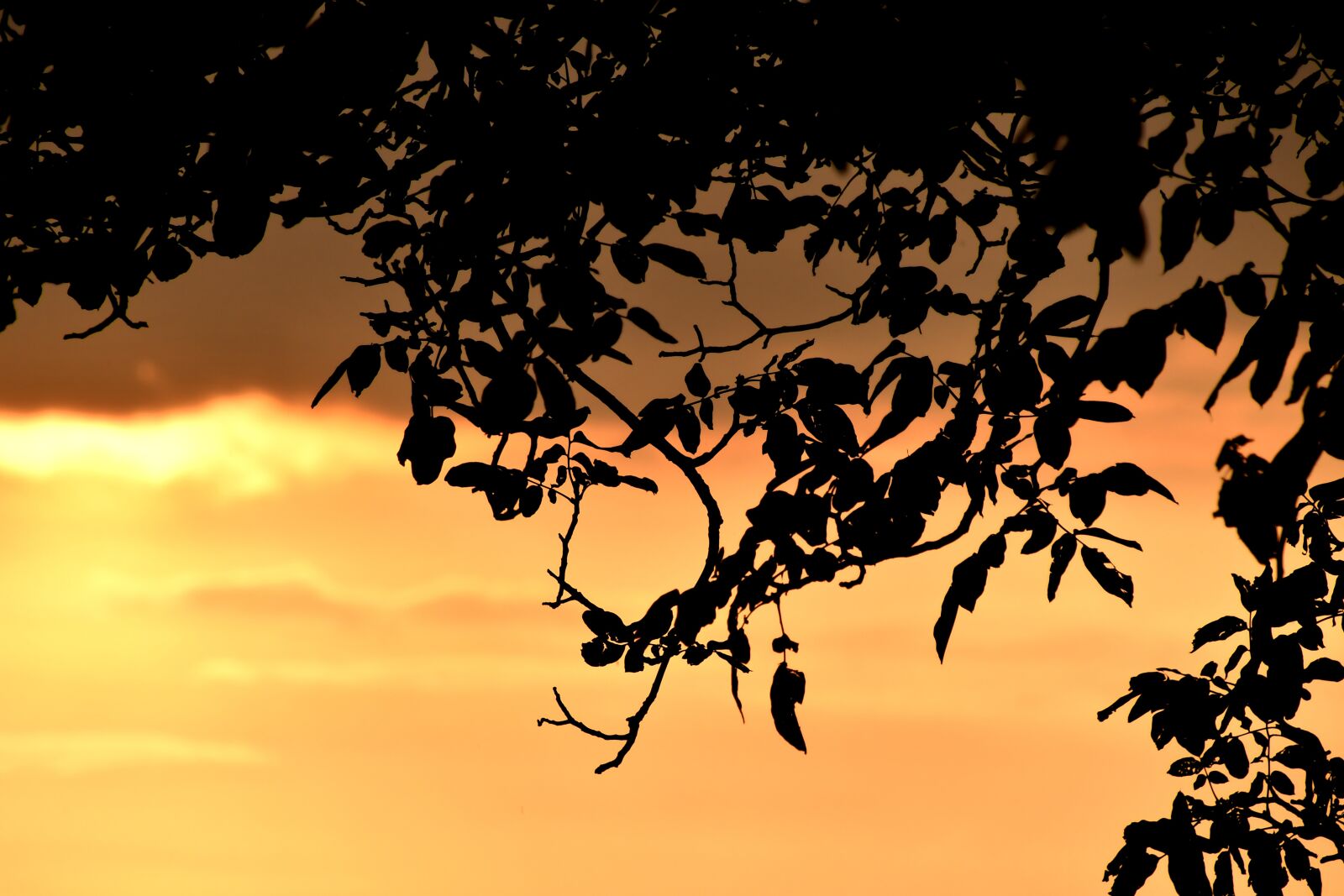 Nikon D7500 sample photo. In the morning, sunrise photography