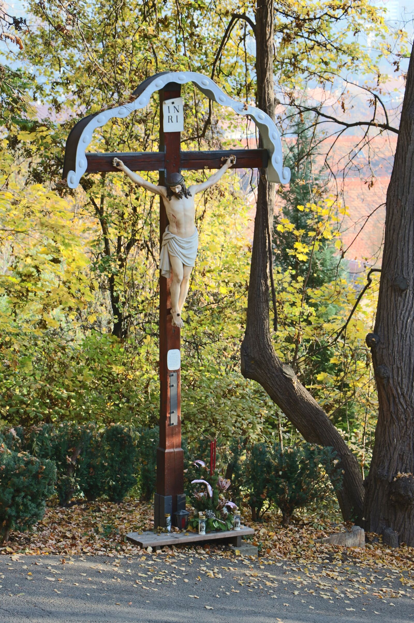 Canon EOS 750D (EOS Rebel T6i / EOS Kiss X8i) sample photo. Tree, wood, nature photography