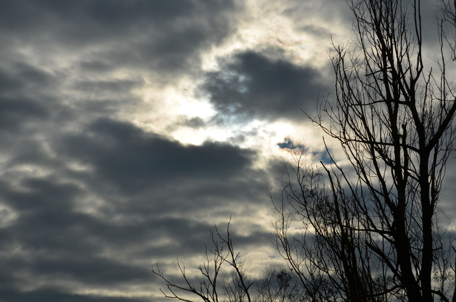 Nikon D5100 sample photo