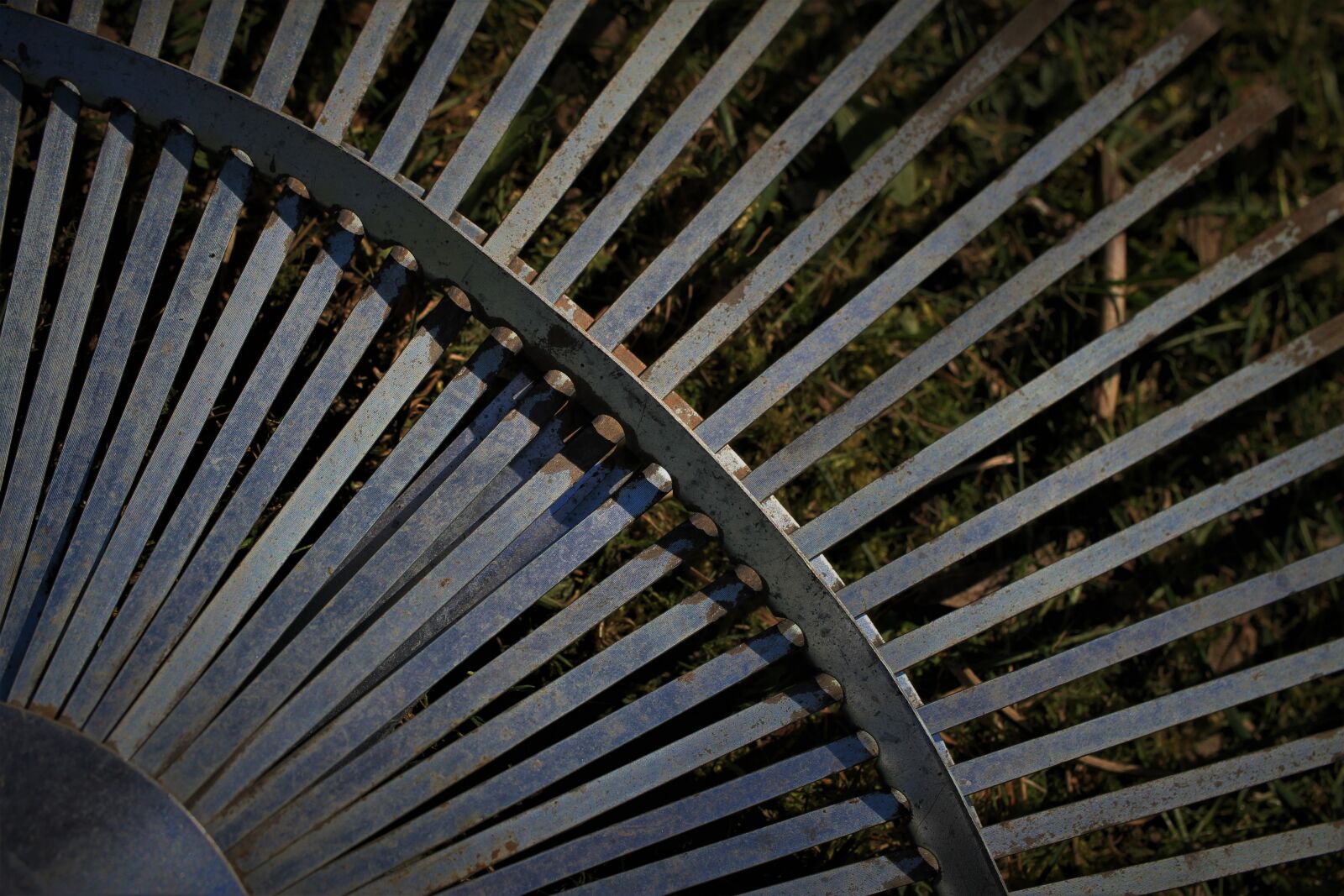 Canon EF-S 35mm F2.8 Macro IS STM sample photo. Computing, gardening, garden photography