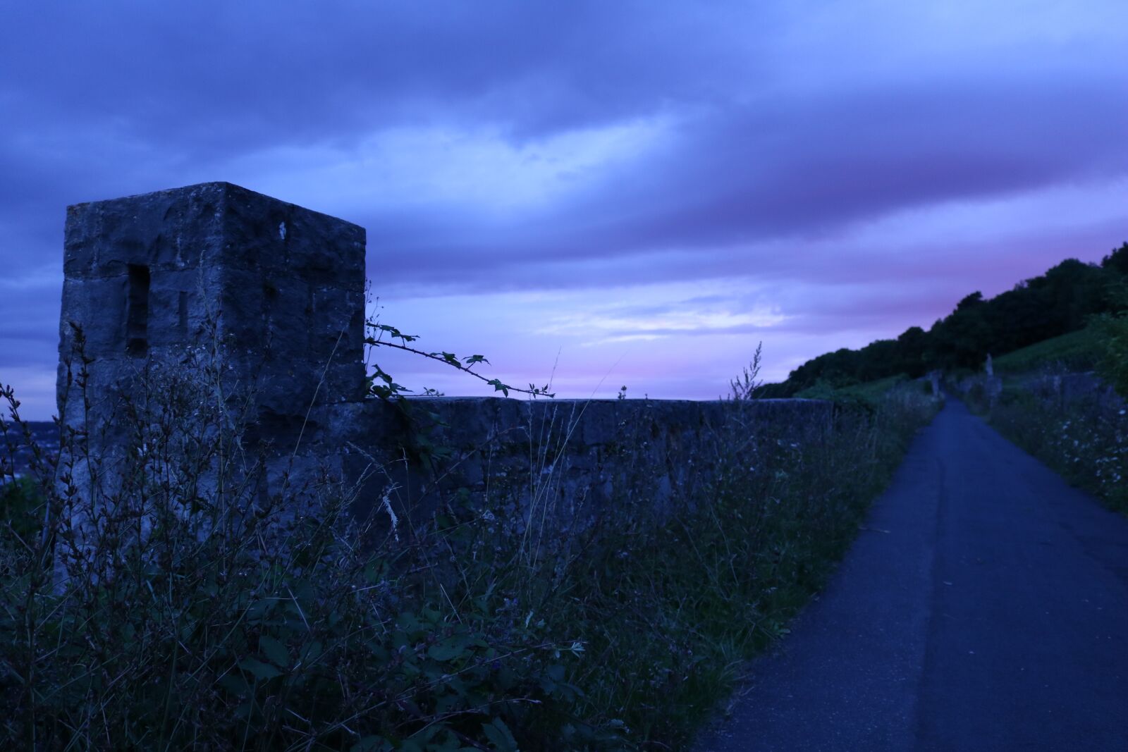 Canon EOS 750D (EOS Rebel T6i / EOS Kiss X8i) sample photo. Darkness, evening, dark photography