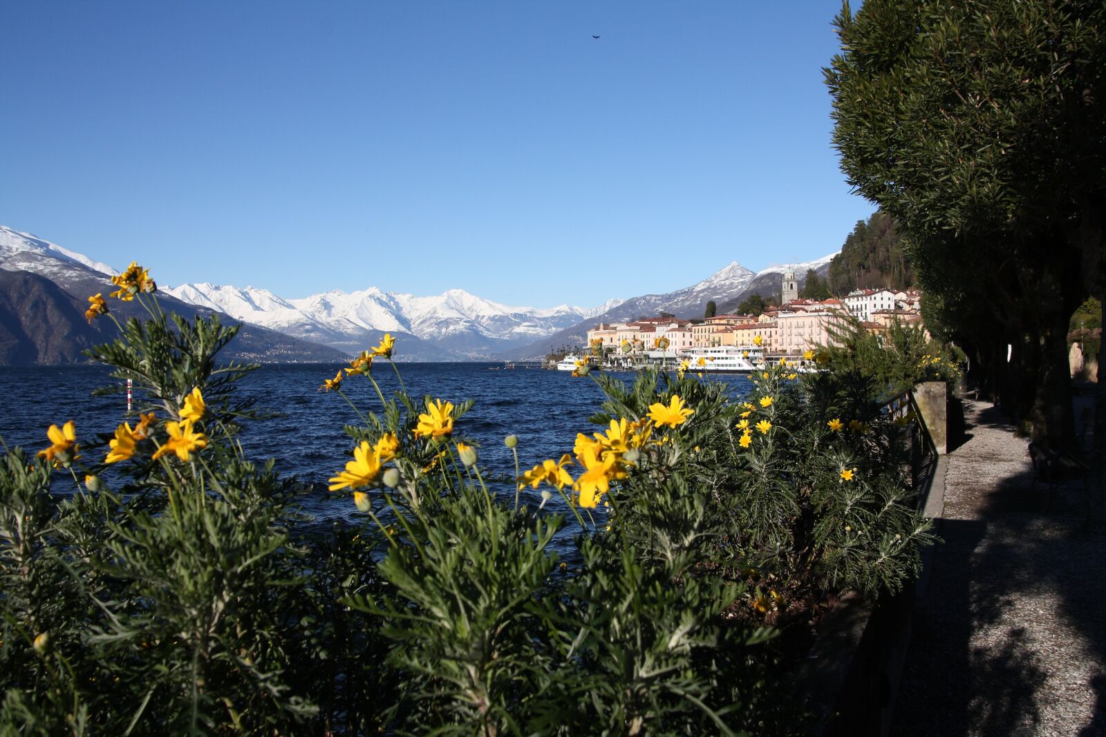 Canon EOS 1000D (EOS Digital Rebel XS / EOS Kiss F) sample photo. Spring, flowers, lake photography