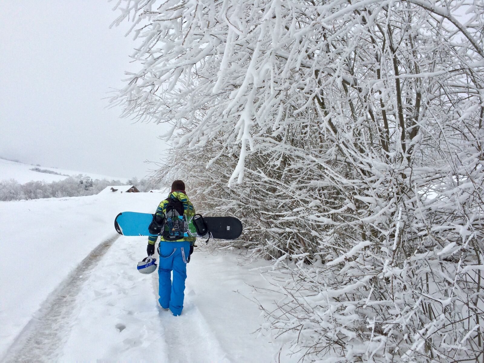 iPhone 5s back camera 4.15mm f/2.2 sample photo. Boy, cold, forest, nature photography