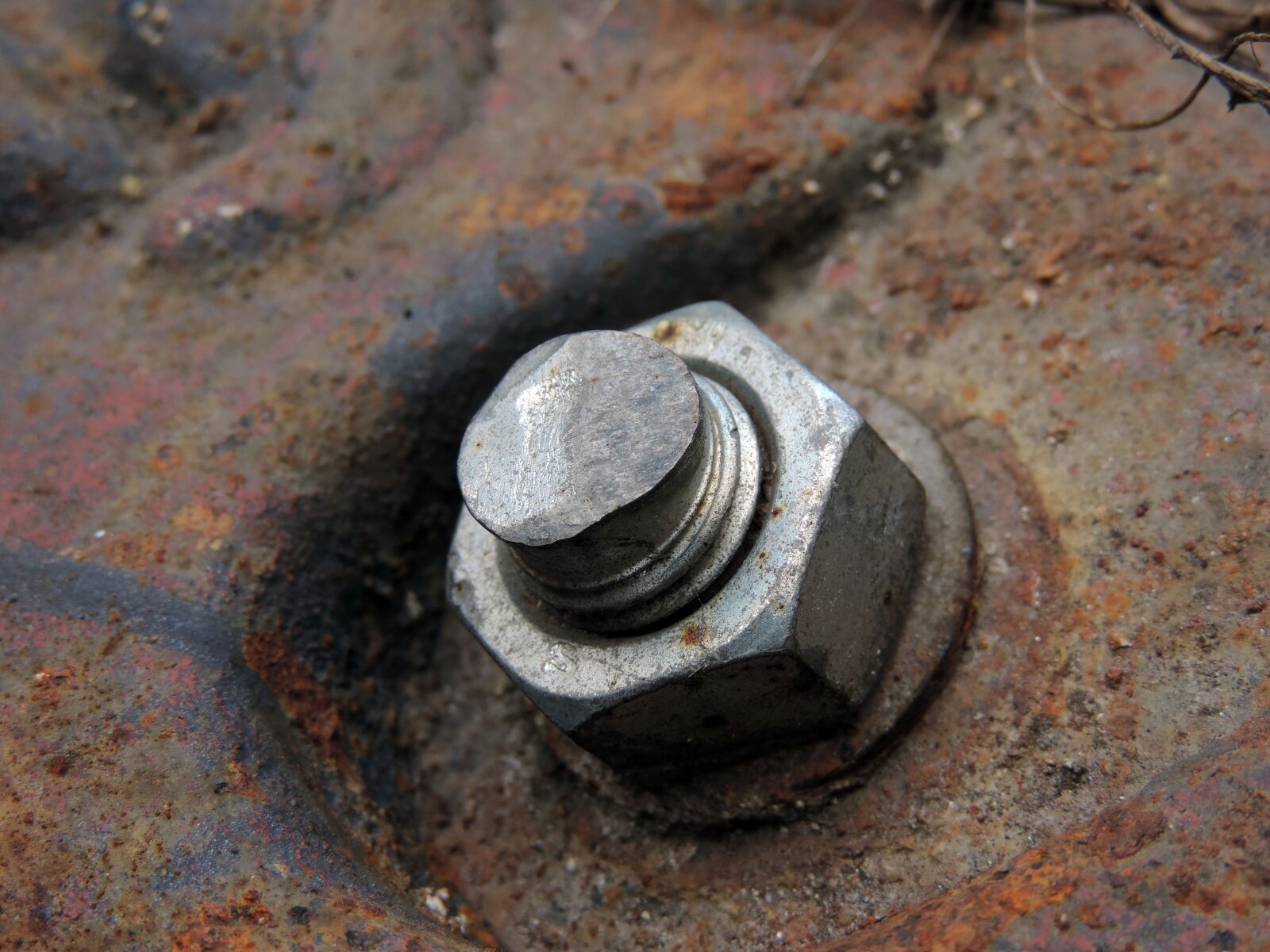 Nikon Coolpix P520 sample photo. Cast iron, detail, metal photography