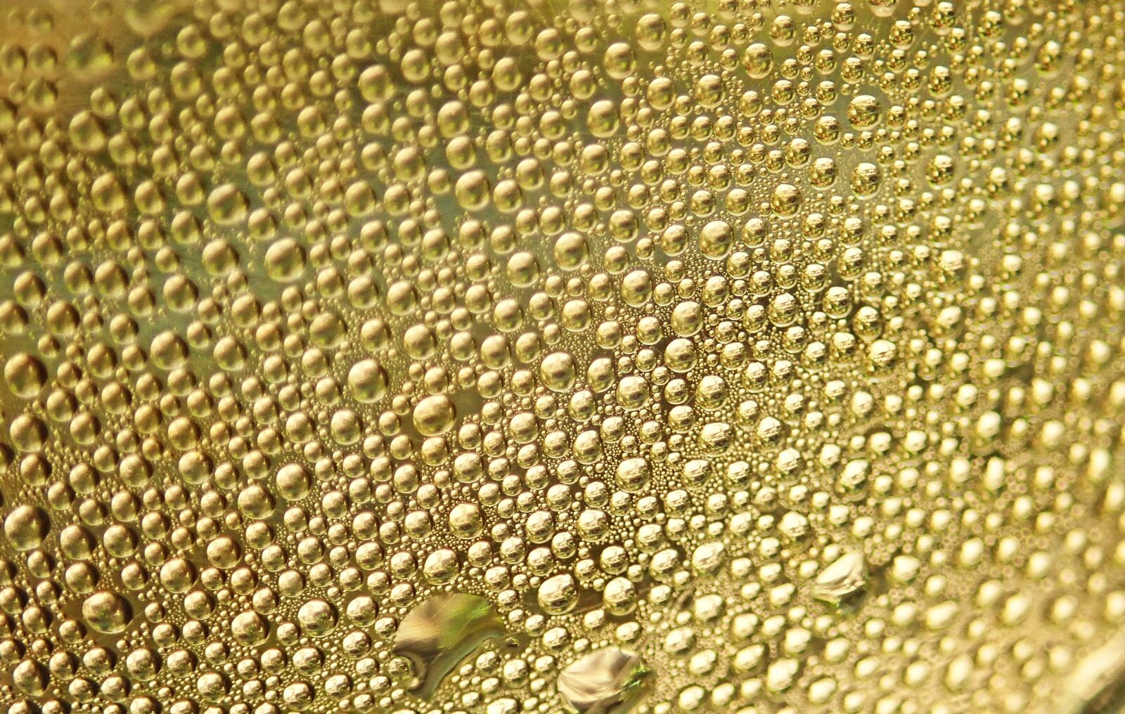 Olympus TG-5 sample photo. Water drops, steam, texture photography
