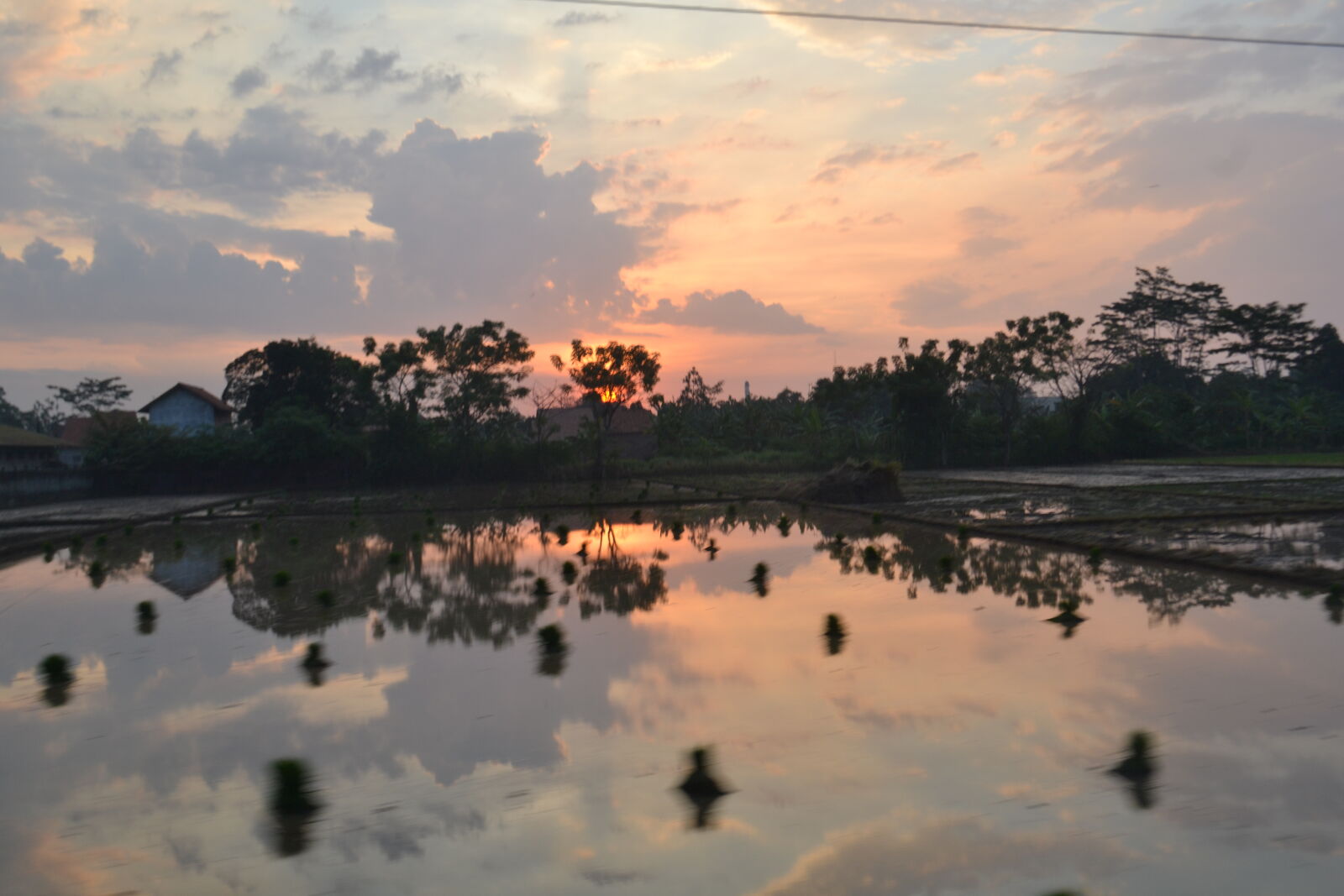 Nikon D3100 sample photo