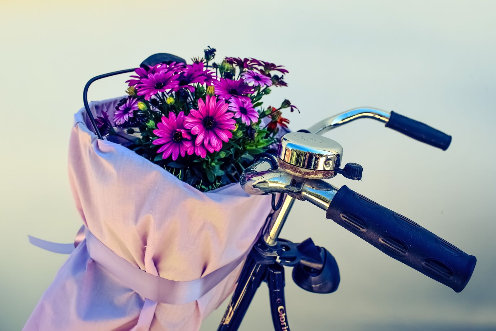 Nikon D3300 sample photo. Bicycle, flowers, basket photography