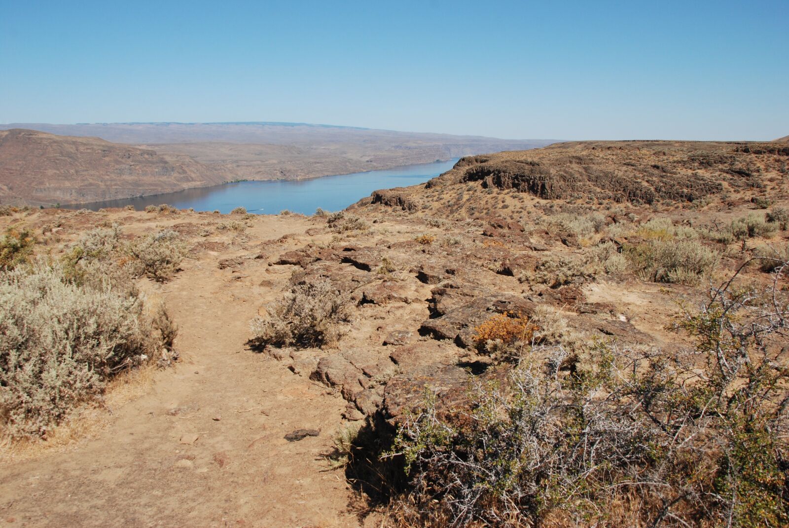 Nikon D80 sample photo. Desert, dry, drought photography