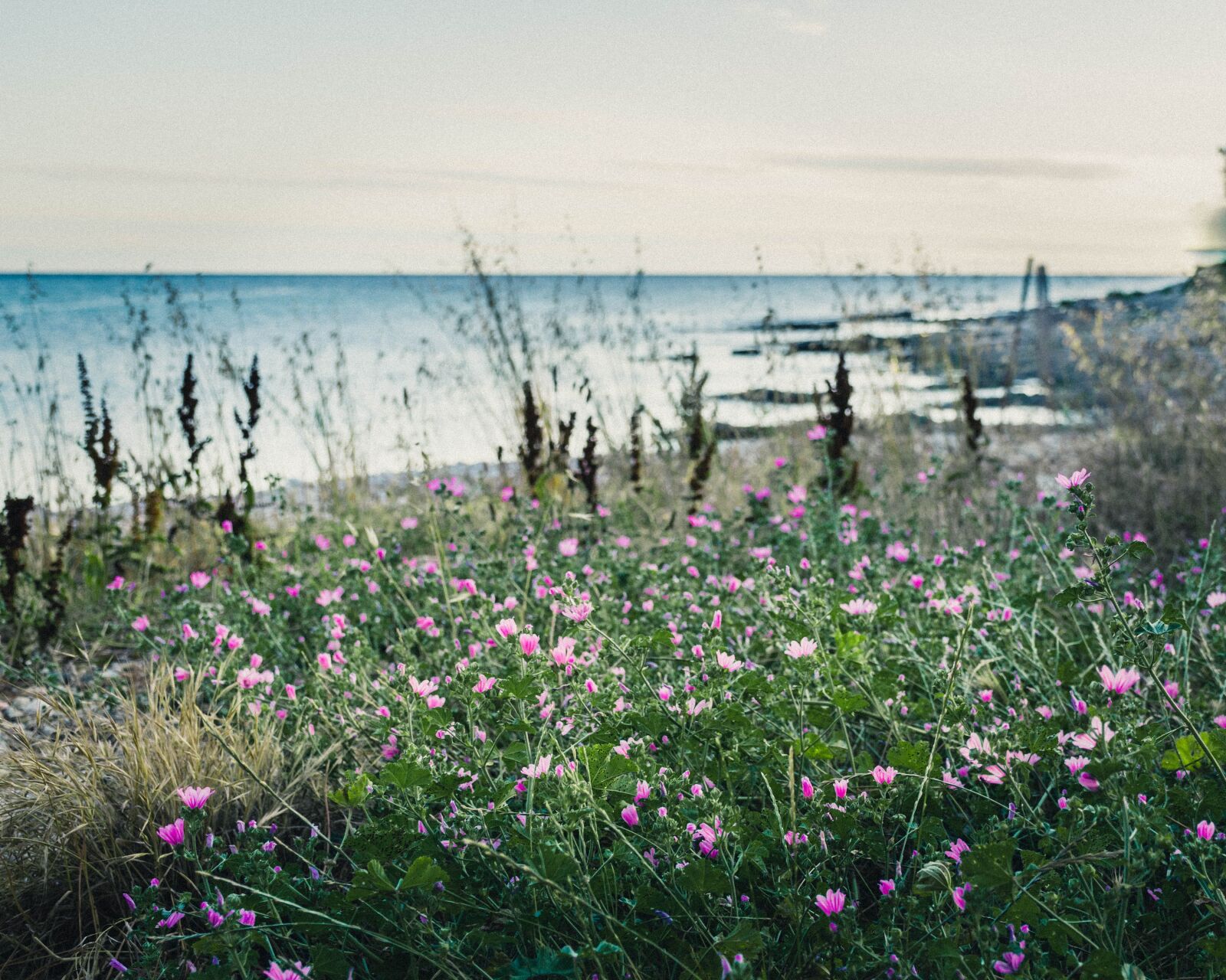 Nikon D5300 sample photo. Sea, landscape, beach photography