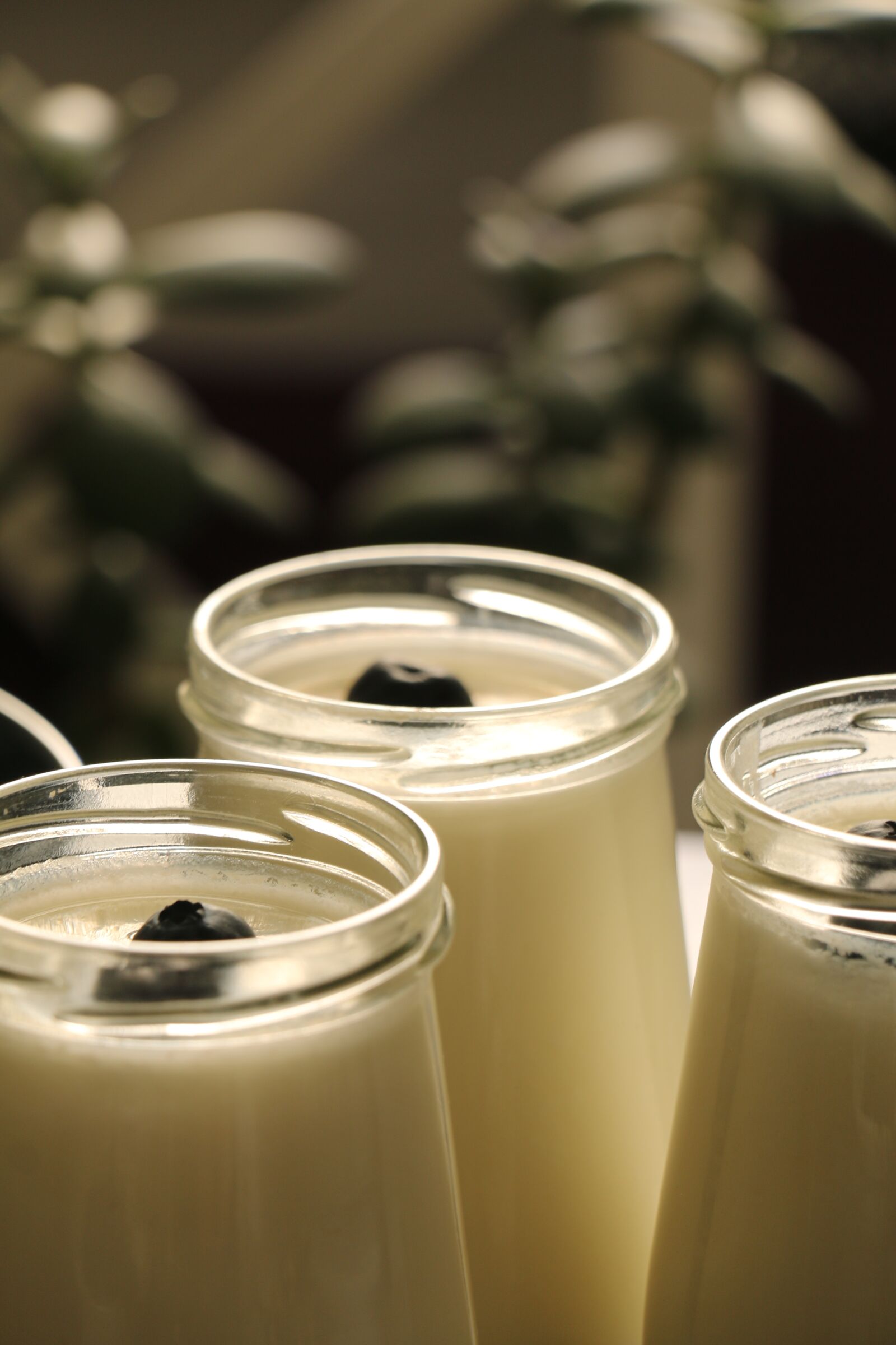 Canon EOS 70D sample photo. Vitamins, yogurt, milk photography