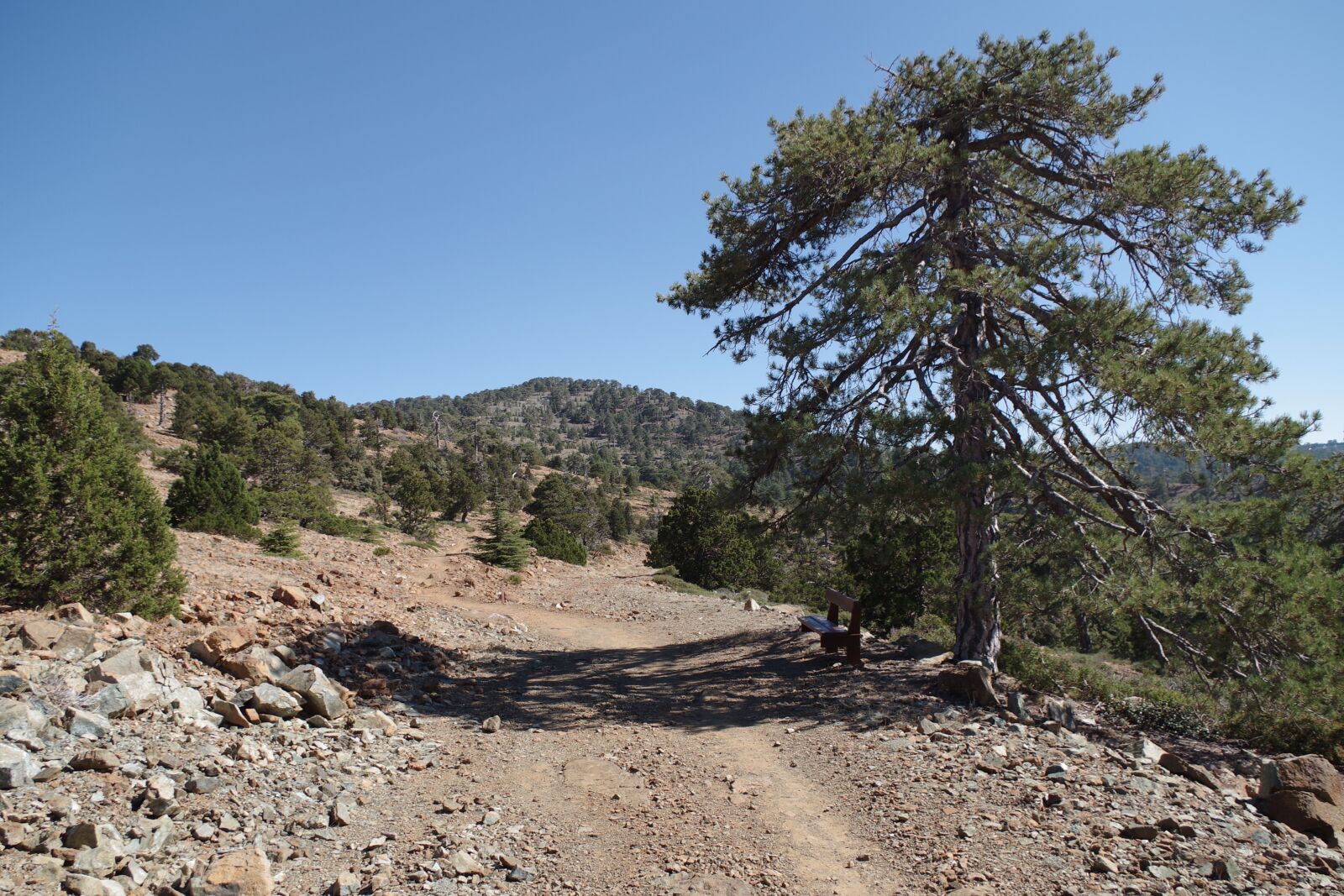 Pentax K-S2 sample photo. Cyprus, mountains, troodos photography