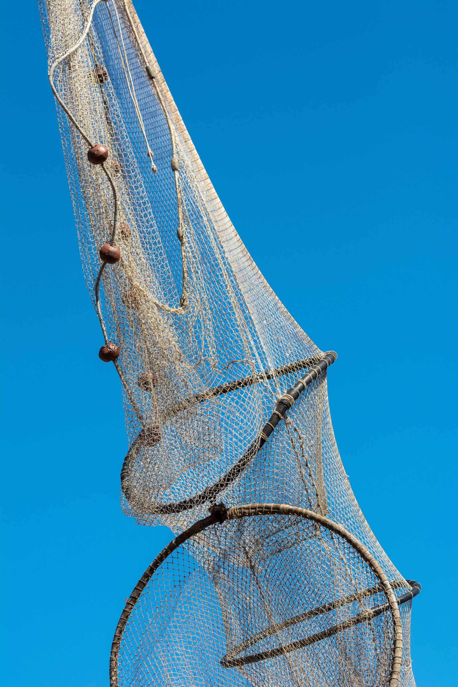 Nikon D5200 sample photo. Fishnet, fish, nature photography