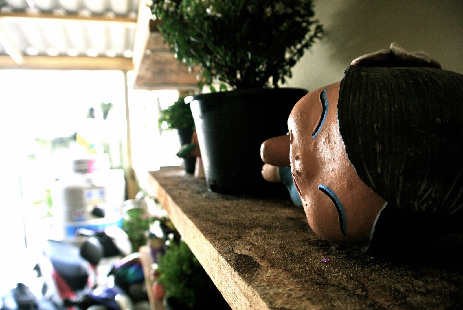 Nikon 1 J1 sample photo. Decorate photography
