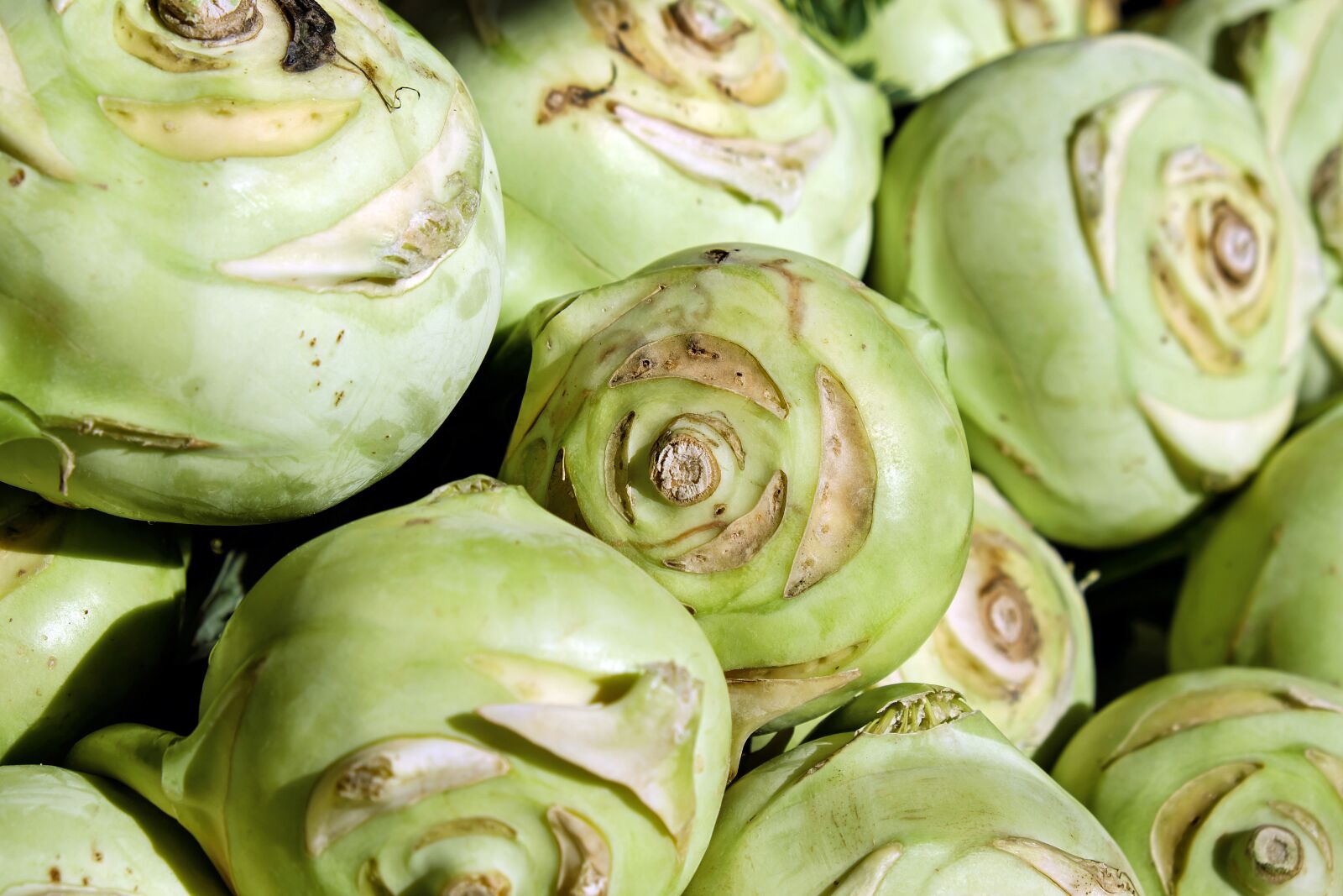 Fujifilm X-T10 sample photo. Kohlrabi, vegetables, cabbage photography