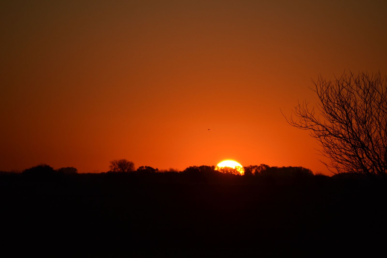 Nikon D3100 sample photo. Sun, setting sun, sunset photography