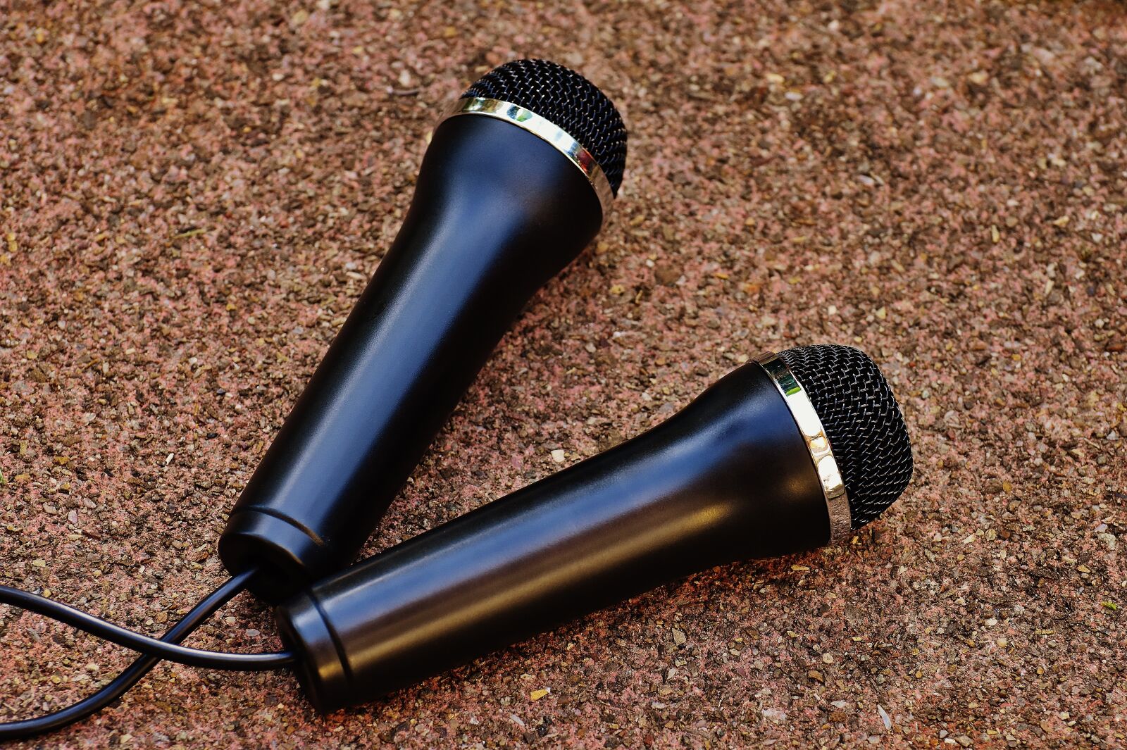 Nikon D7200 sample photo. Microphone, music, micro photography