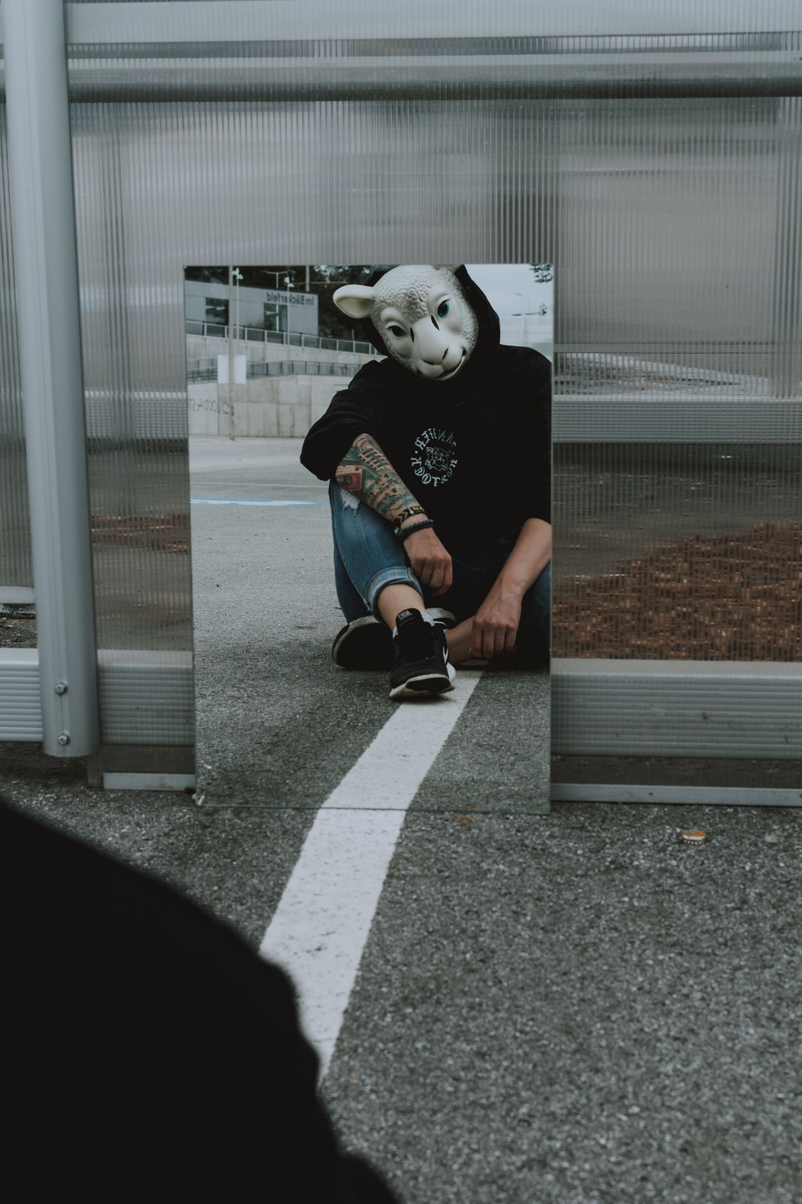 Nikon D5200 sample photo. Sheep, sheep mask, mirror photography