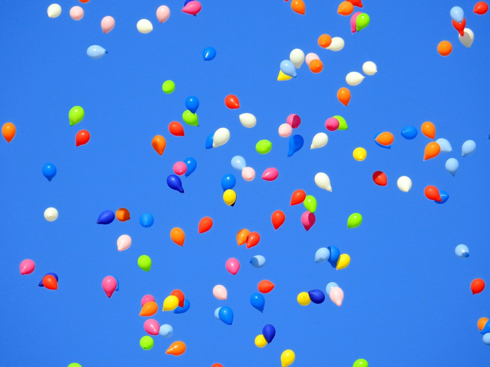 Nikon Coolpix P900 sample photo. Balloon, party, carnival photography