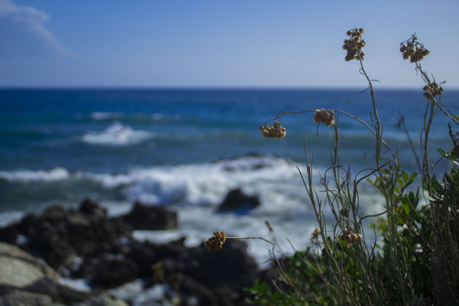 Canon EOS 4000D (EOS Rebel T100 / EOS 3000D) sample photo. Calabria, italy, sea photography