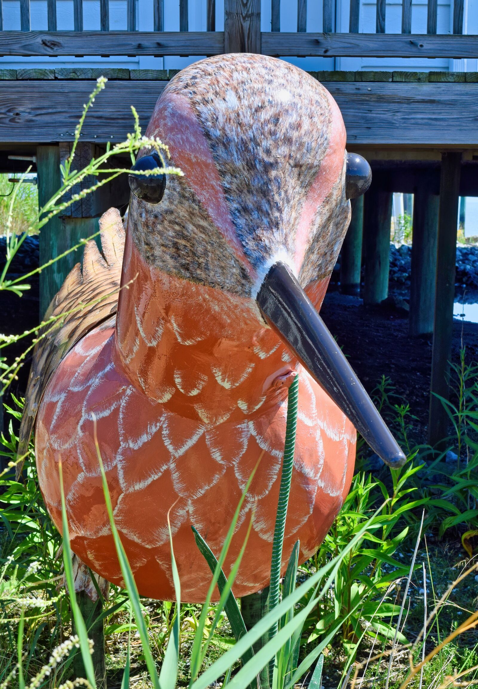 Nikon D3300 sample photo. Beach, bird, art photography