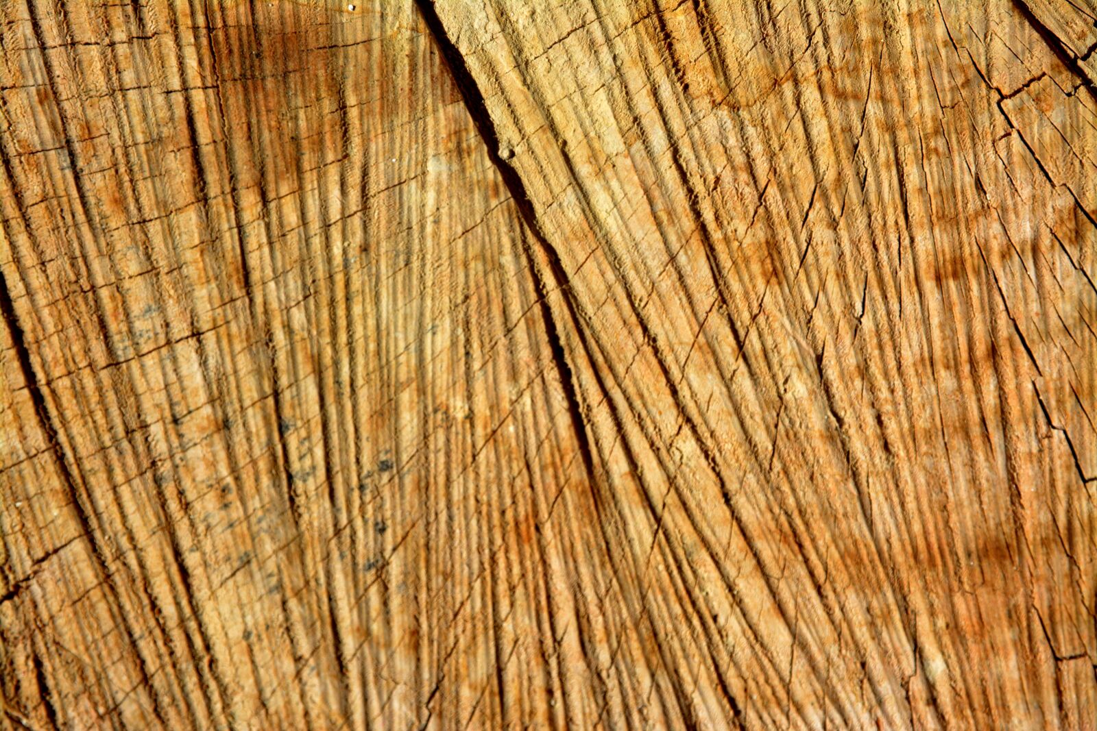 Nikon D5200 sample photo. Material, hardwood, grunge photography