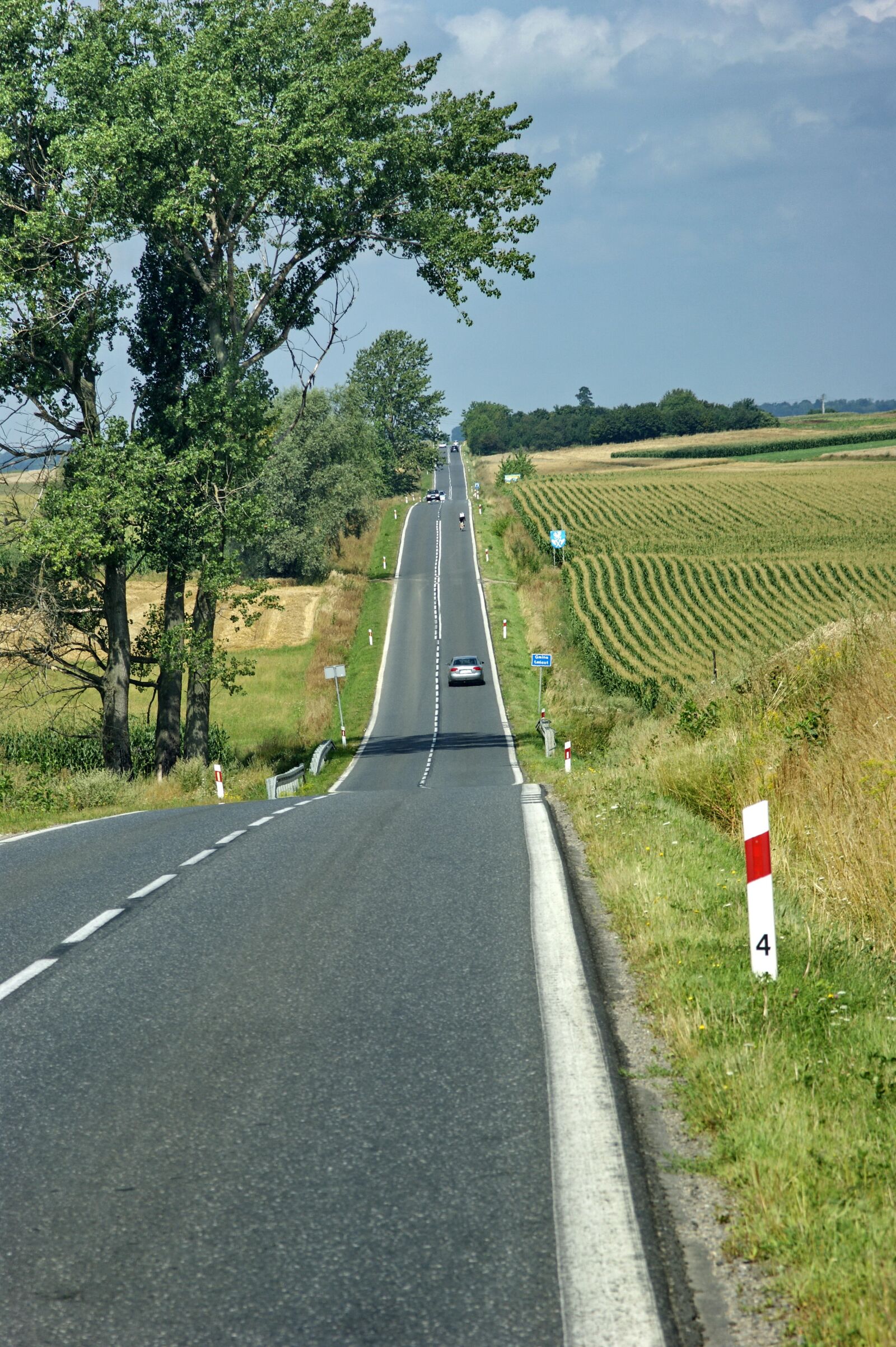 Sony Alpha DSLR-A290 sample photo. Blue sky, clouds, road photography