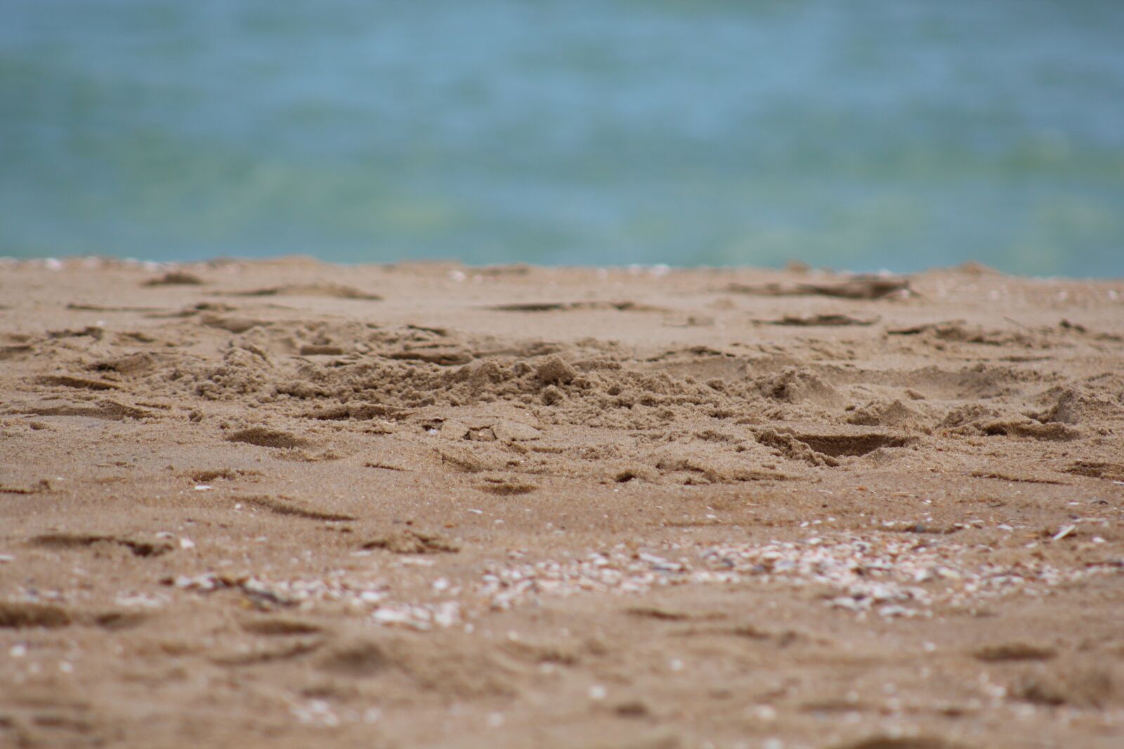 Canon EOS 1200D (EOS Rebel T5 / EOS Kiss X70 / EOS Hi) + EF75-300mm f/4-5.6 sample photo. Sand, beach, ocean photography