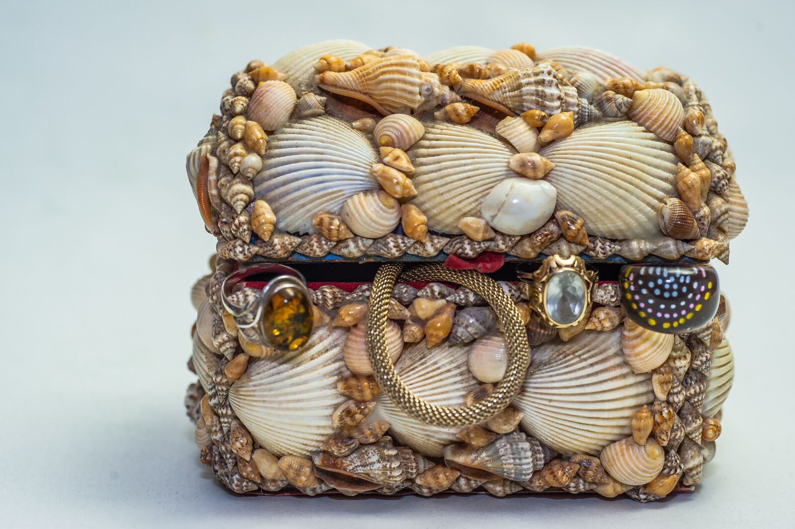 Nikon D700 sample photo. Treasure chest, jewellry, mussels photography