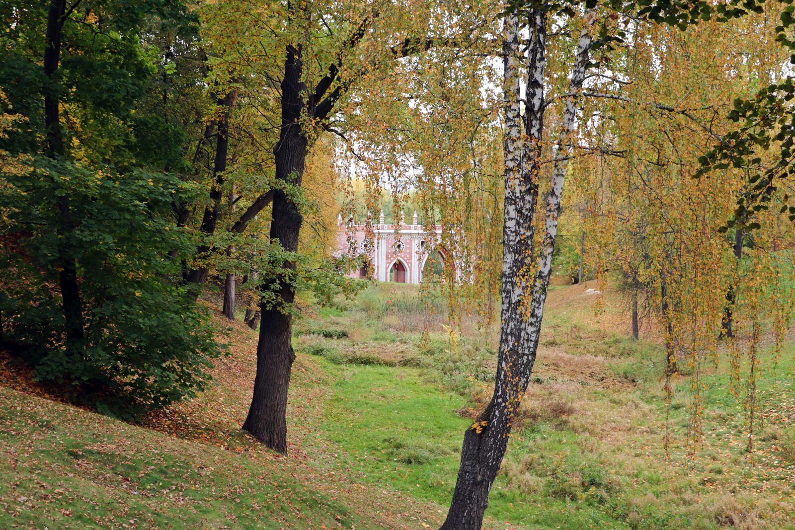 Canon EF-S 18-135mm F3.5-5.6 IS STM sample photo. Autumn, russia, park photography