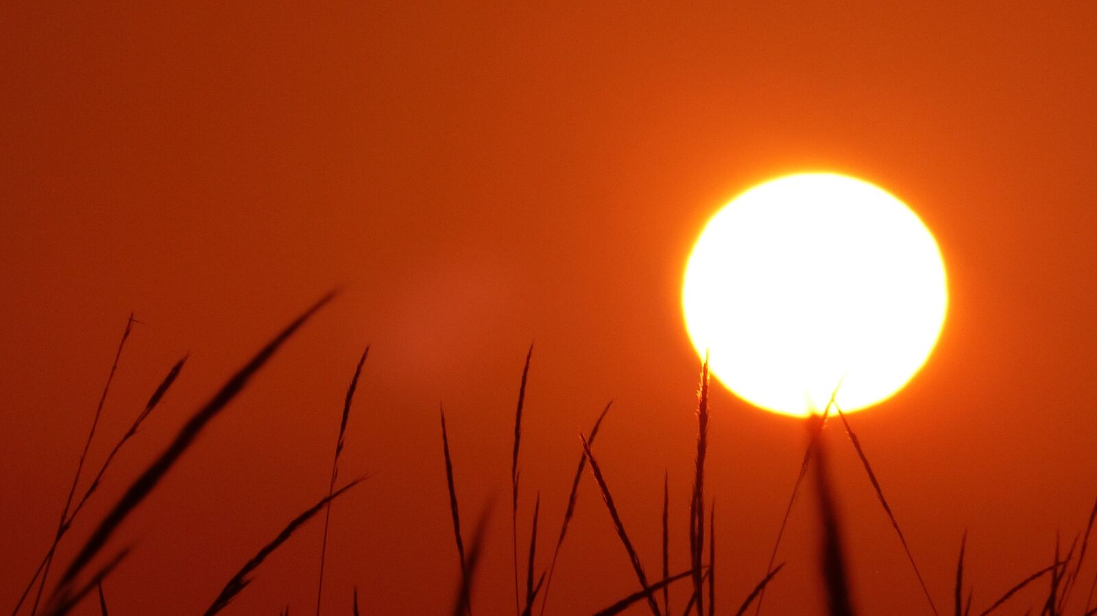Panasonic Lumix DMC-FZ200 sample photo. Sunset, warm, nature photography