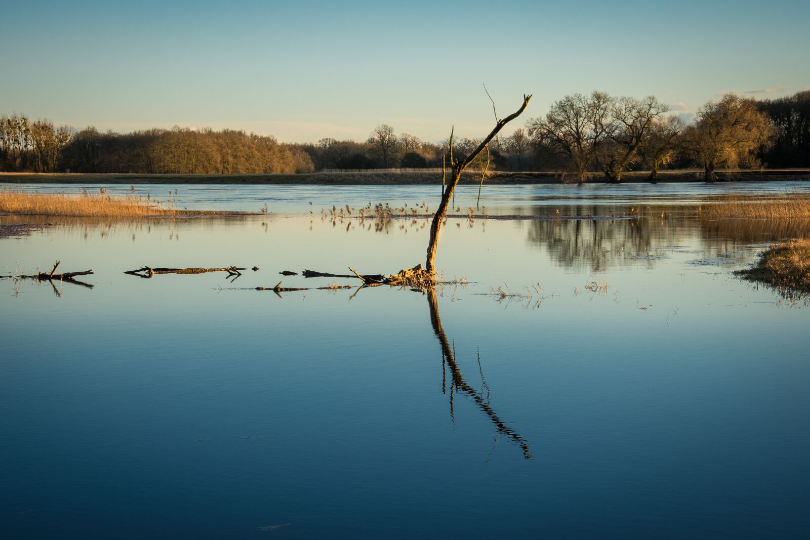 Nikon D7200 sample photo. High water, evening, river photography
