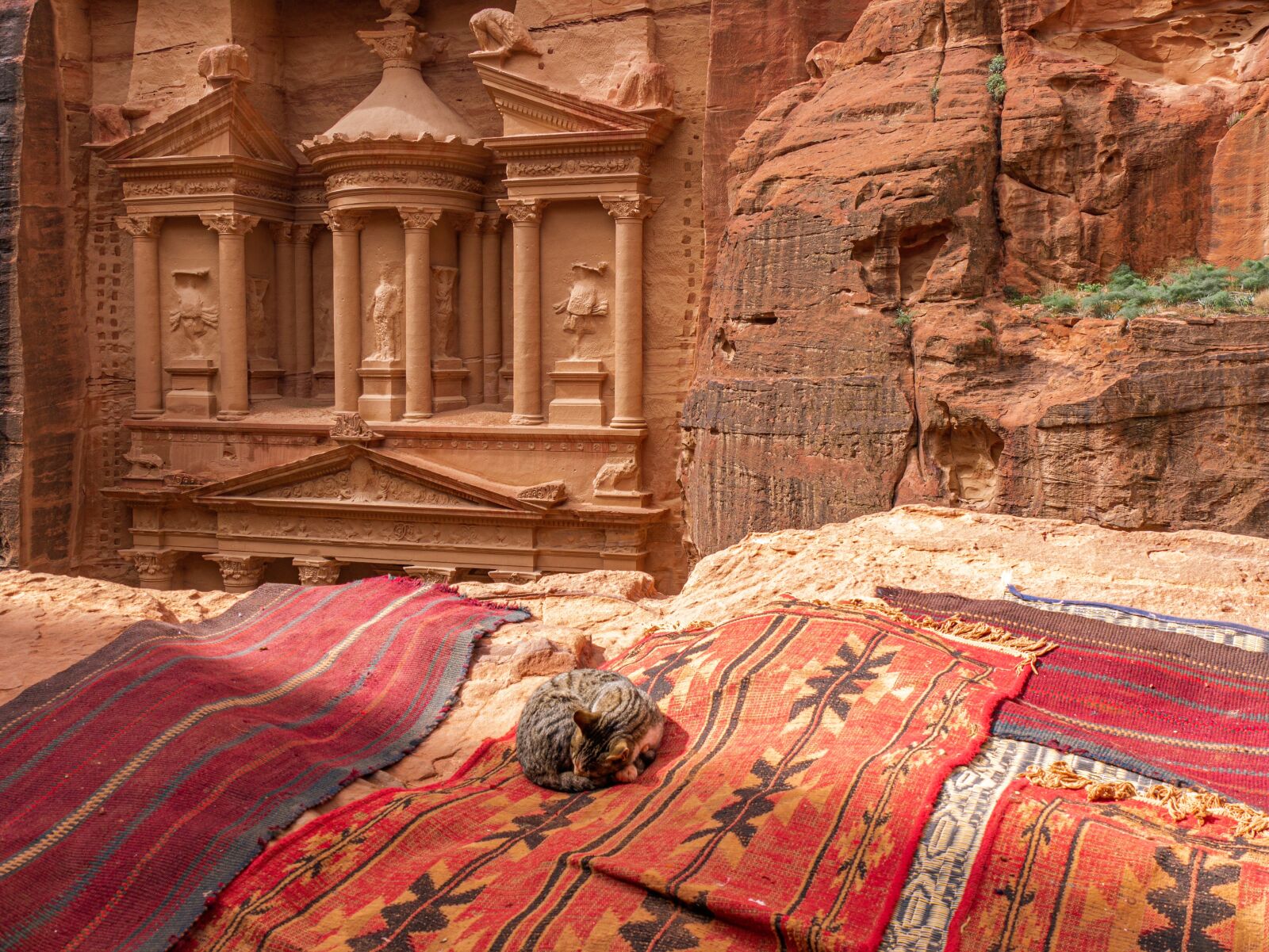 Panasonic Lumix G Vario 14-140mm F3.5-5.6 ASPH Power O.I.S sample photo. Petra, jordan, treasury photography