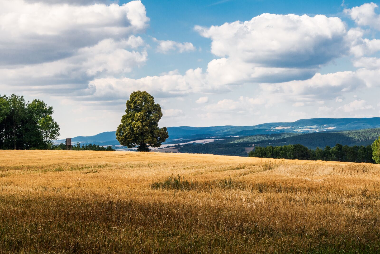 Sony Cyber-shot DSC-RX100 II sample photo. Tree, field, sky photography