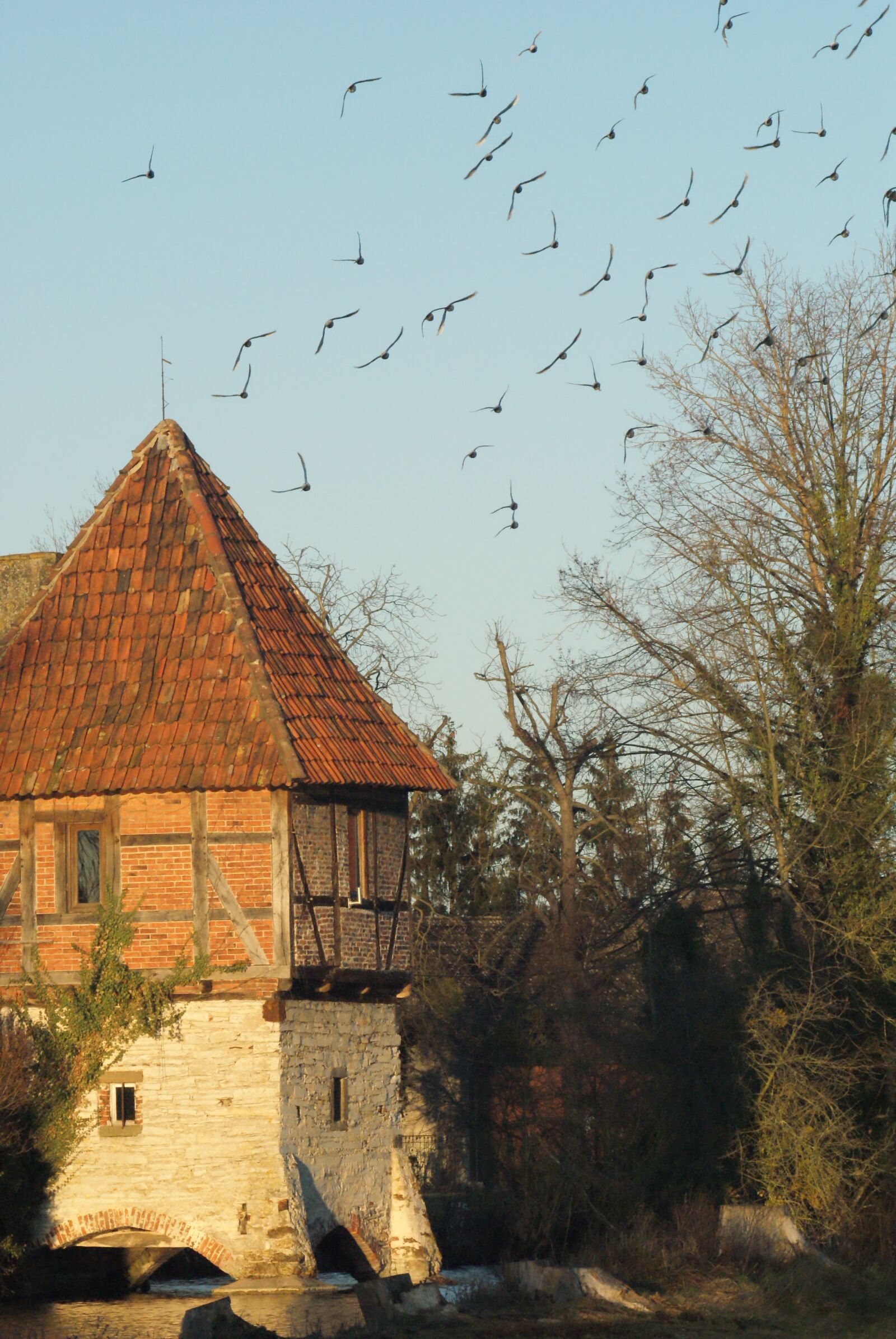 Sony Alpha DSLR-A200 sample photo. Tower, flock of birds photography